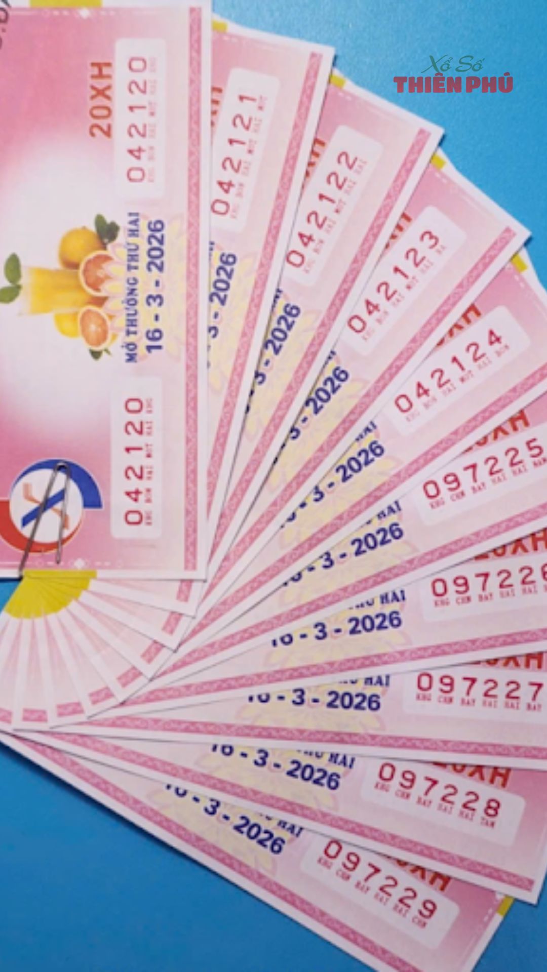 vé số miền Bắc thứ 2 - Nguồn: Ảnh do Xổ Số Thiên Phú cung cấp