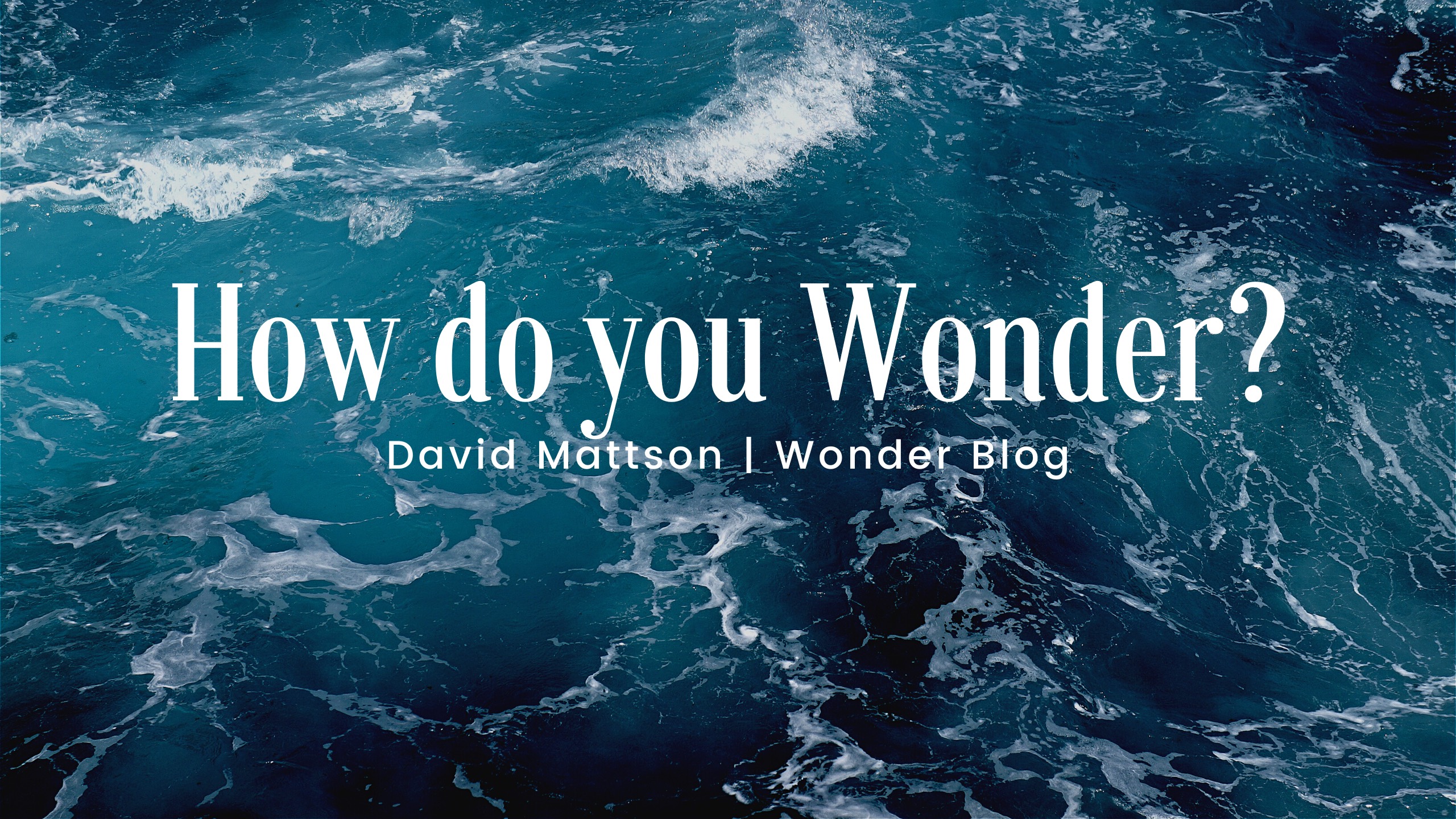 David Mattson | Wonder Blog