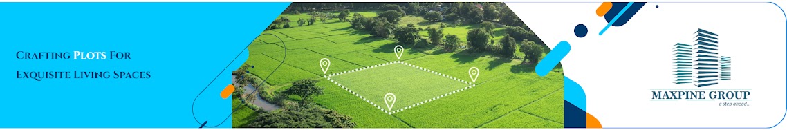 Maxpine Group
